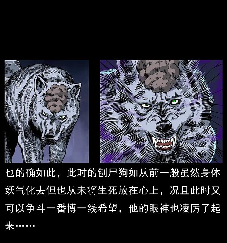 084 刨尸狗的妖化之路34