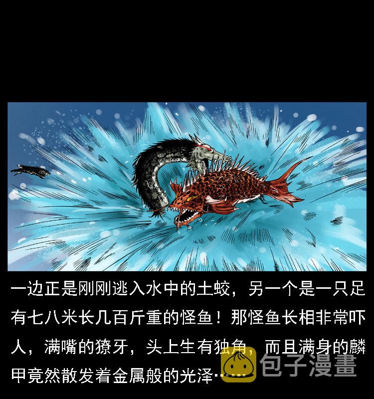 030 斗土蛟231