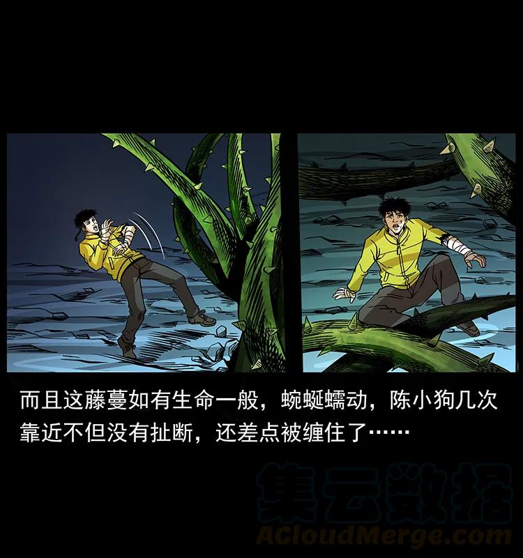 192 龙家的废材48