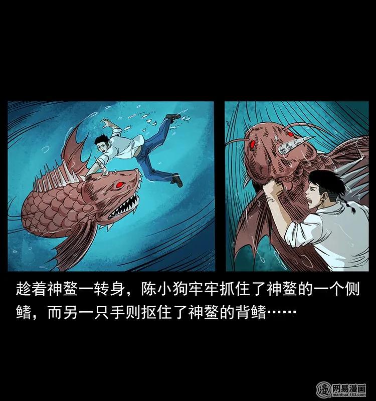 124 神鳌26