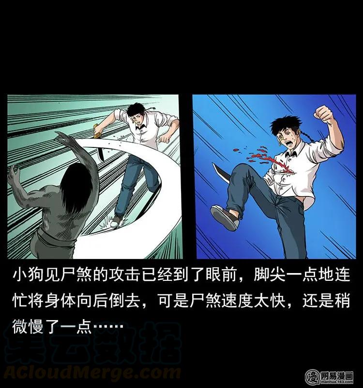 118 天宝仙牌24