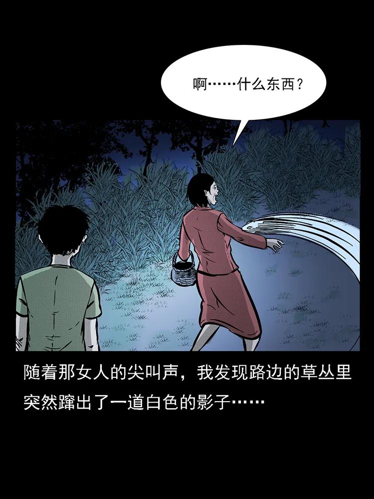 番外2 之保家白仙62