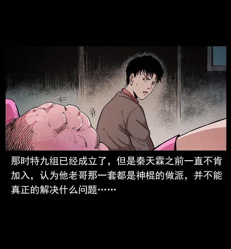 343 秦大麻烦的往事36