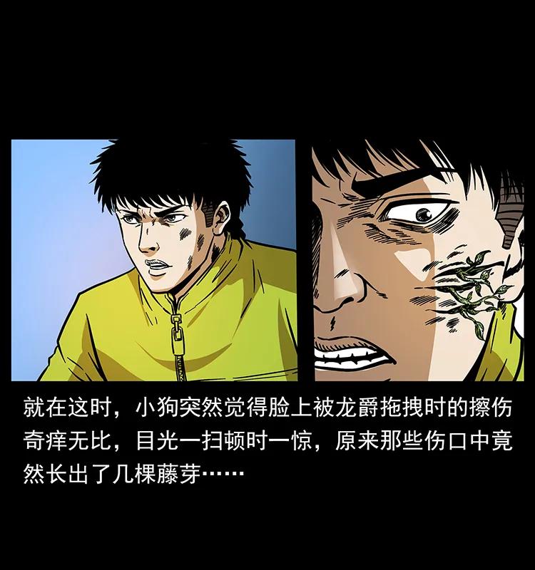 192 龙家的废材75