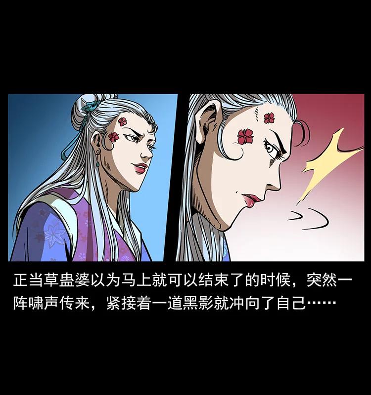193 草蛊婆41