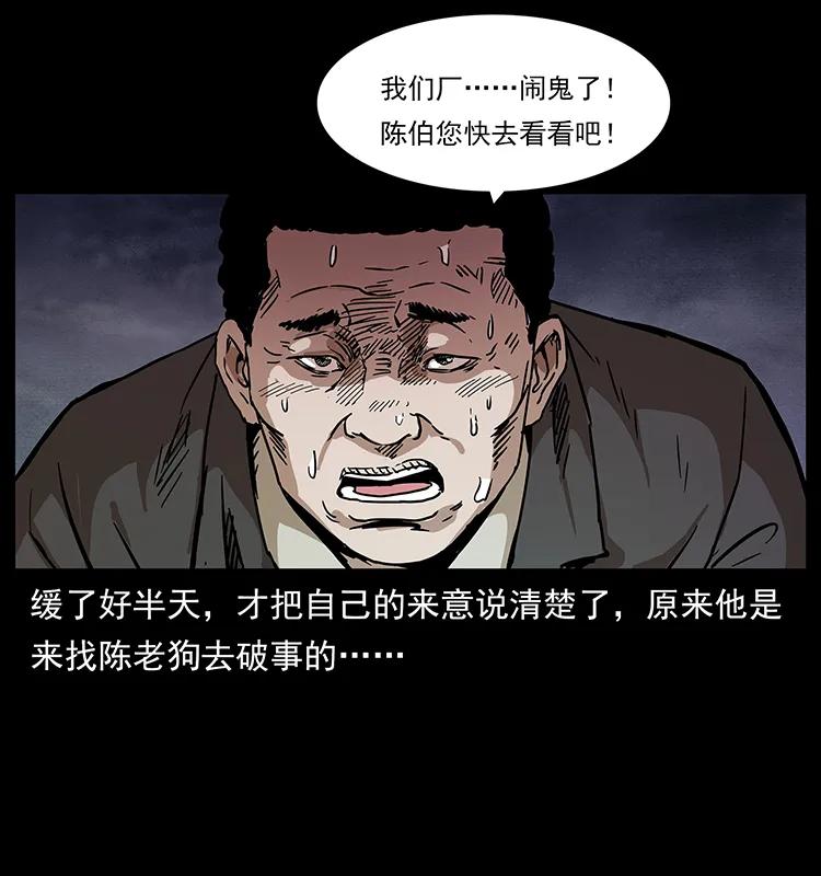 230 生桩11