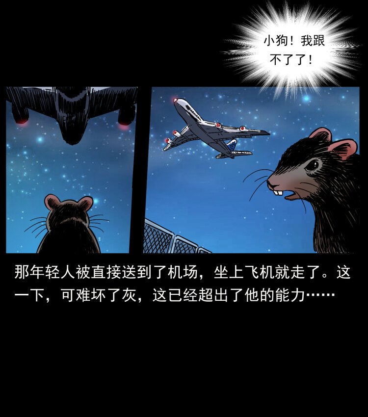 411 判官53
