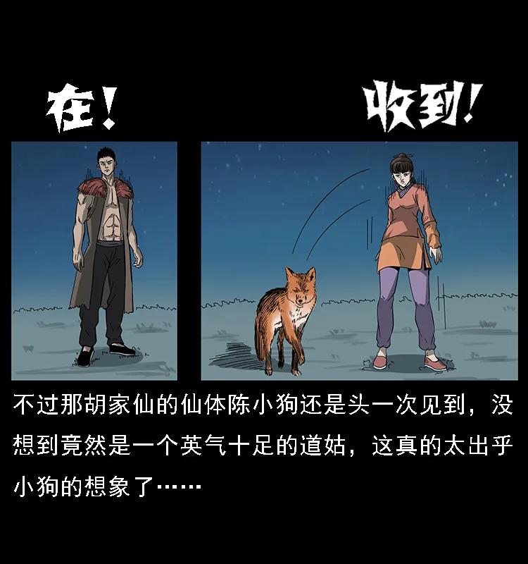 090 引魂大阵15
