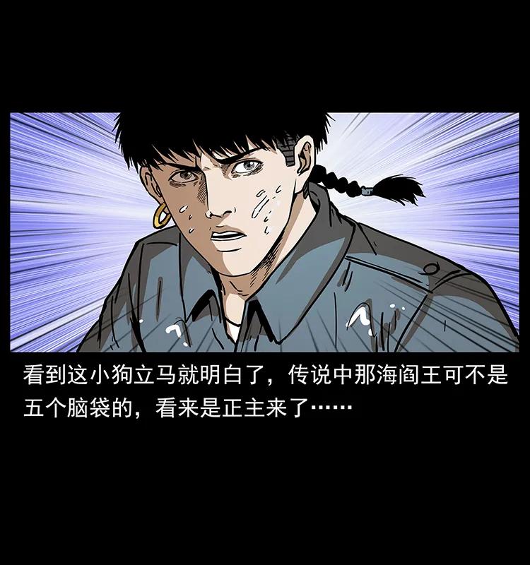 242 陈小狗失算了6