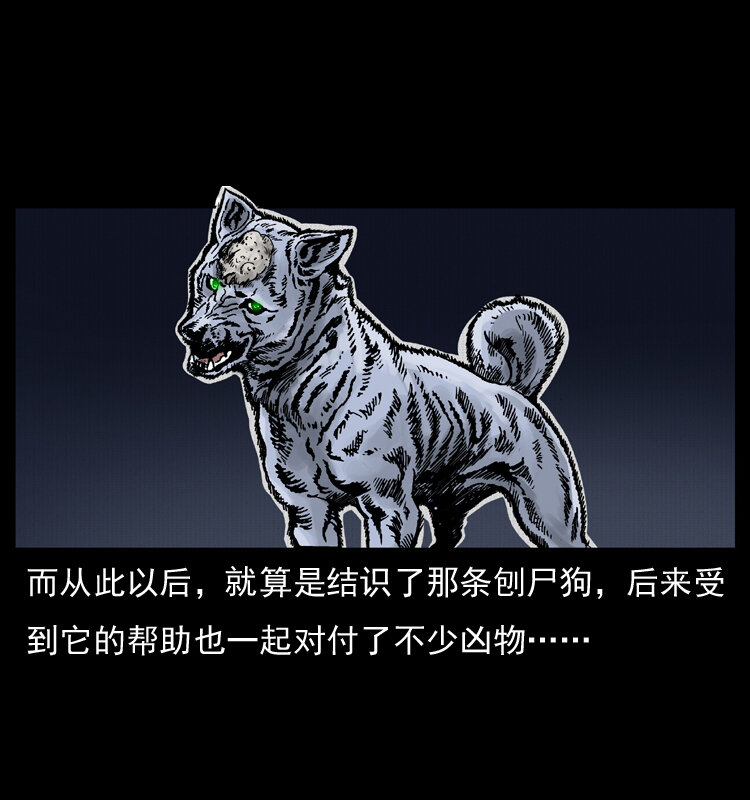 005 刨尸狗61