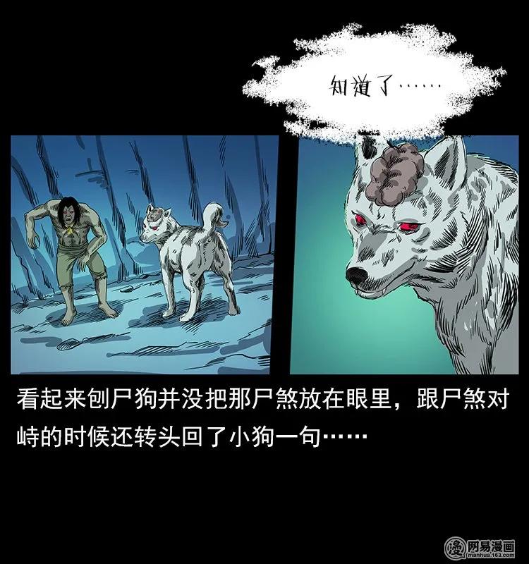 118 天宝仙牌41