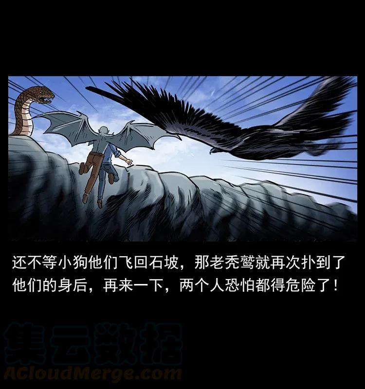 281 柱子归来！44
