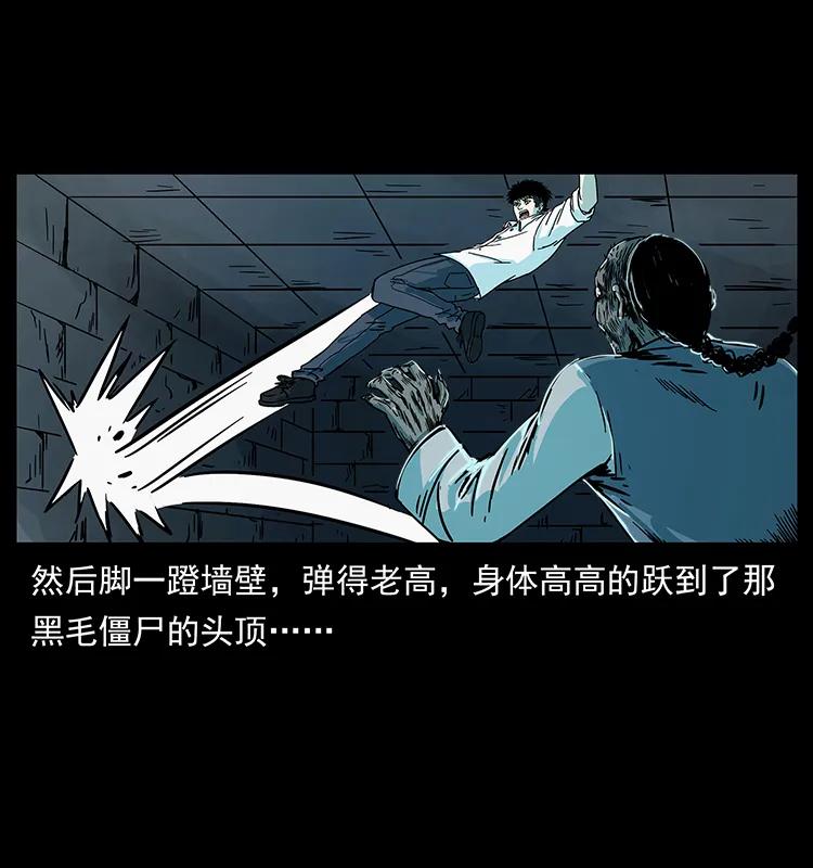 227 猴脑14