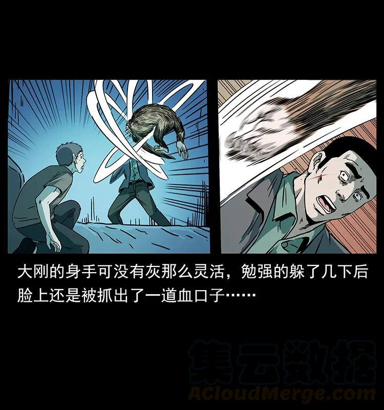 228 凶兽76