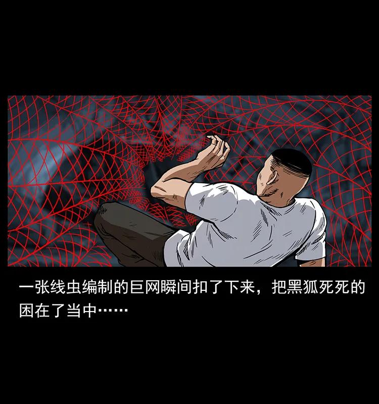 199 黑狐不好惹29
