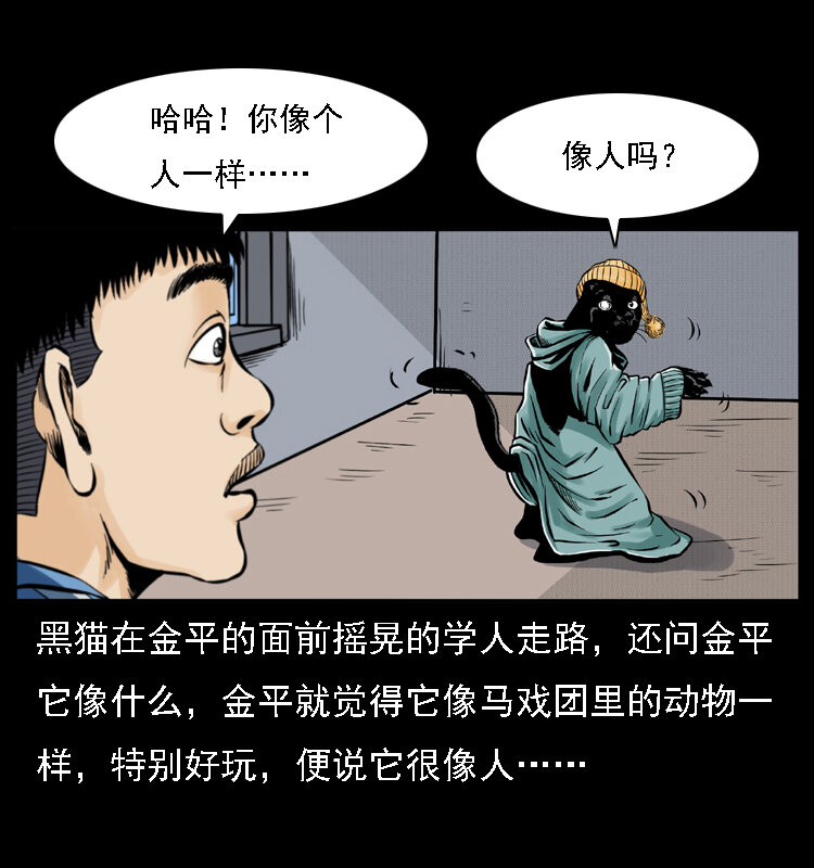 003 赵家的猫43