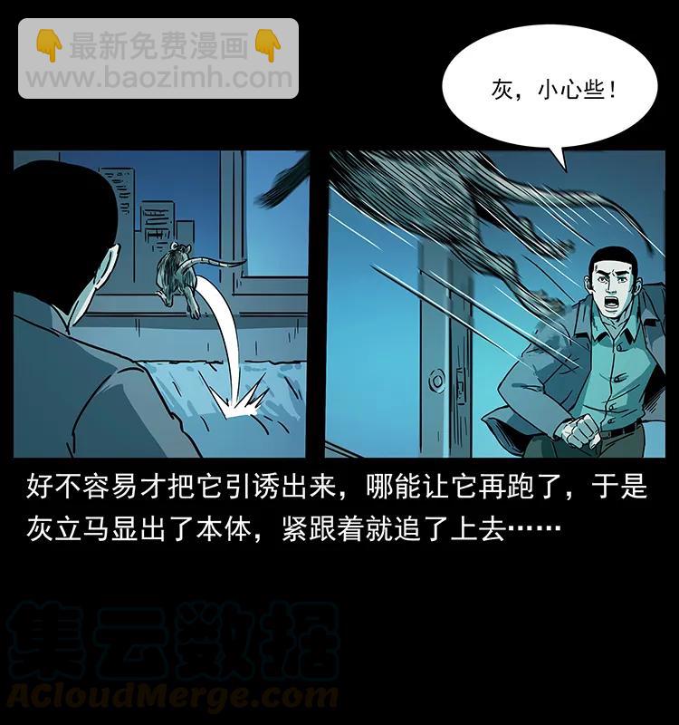 228 凶兽80