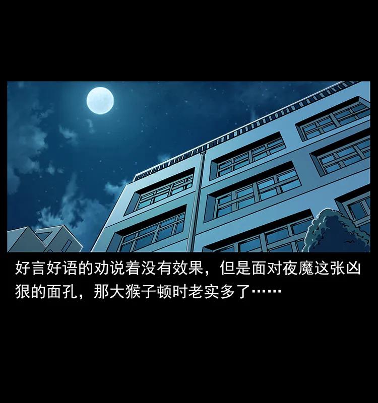 229 东海龙骨5