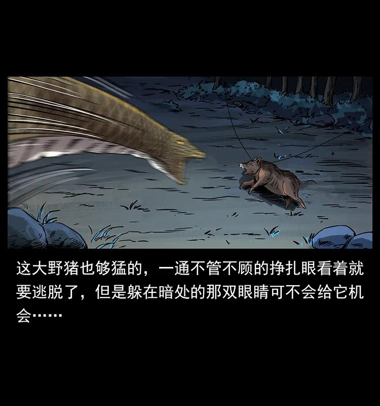 263 恐怖杀人峰49