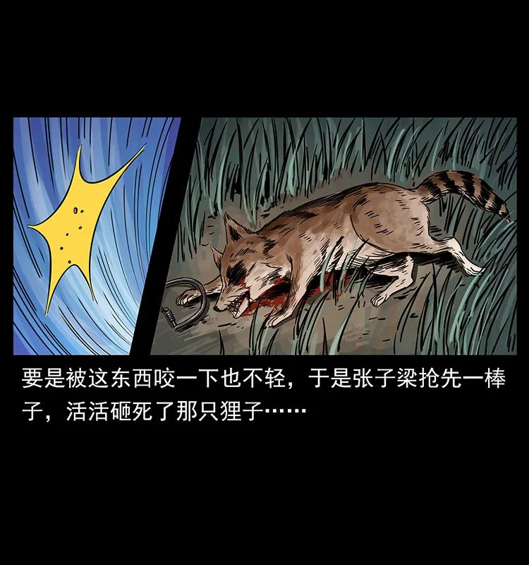 250 走失17