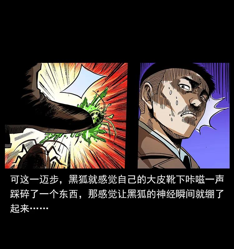 161 虫佛42