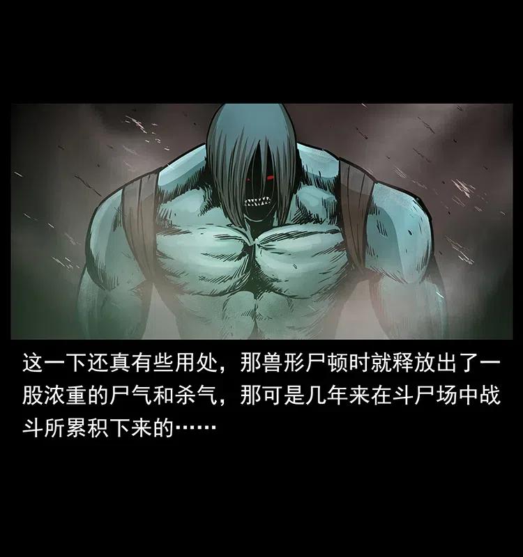 313 兽形僵尸67
