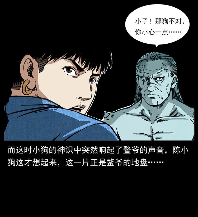 258 身后的危机35