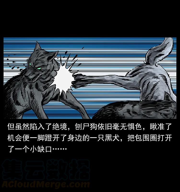 252 危机！危机4