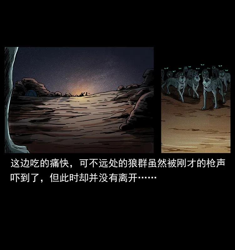 318 沙漠秃鹰41