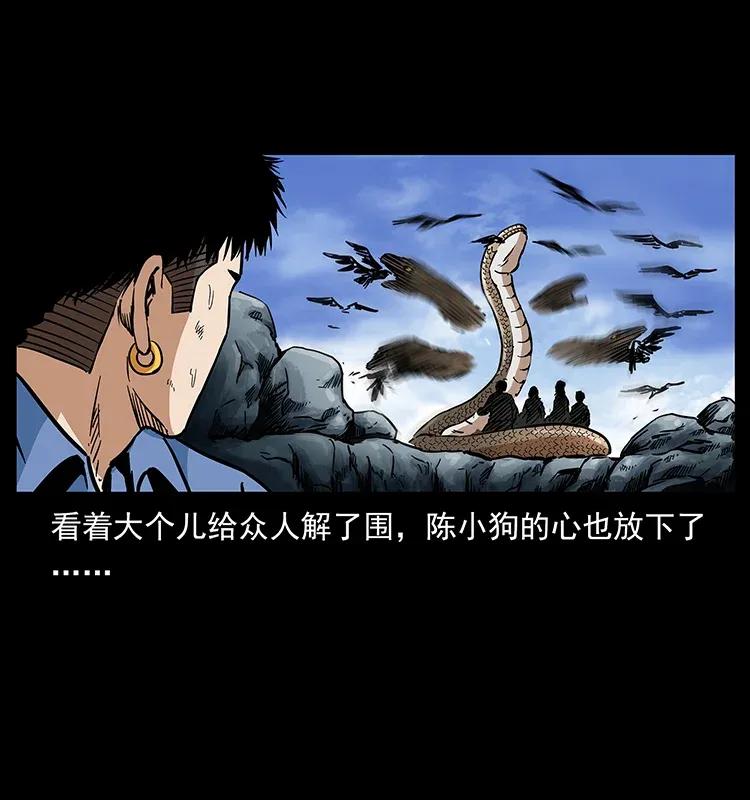281 柱子归来！26