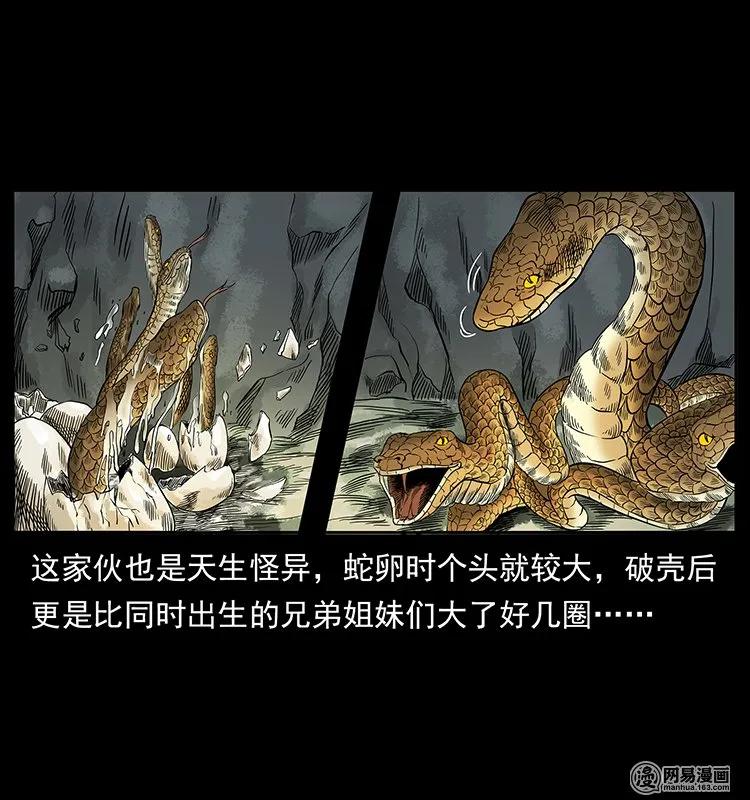 139 巨兽凶蟒41