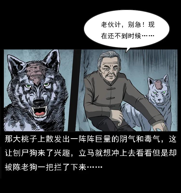 082 鬼桃树27