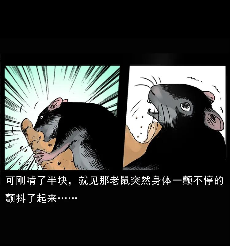 082 鬼桃树3
