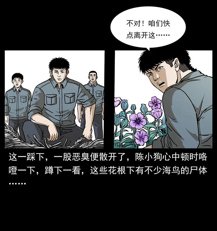 236 神秘的小岛46