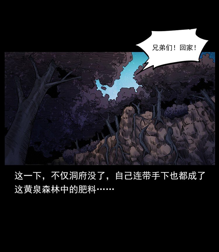 494 极幽之路81