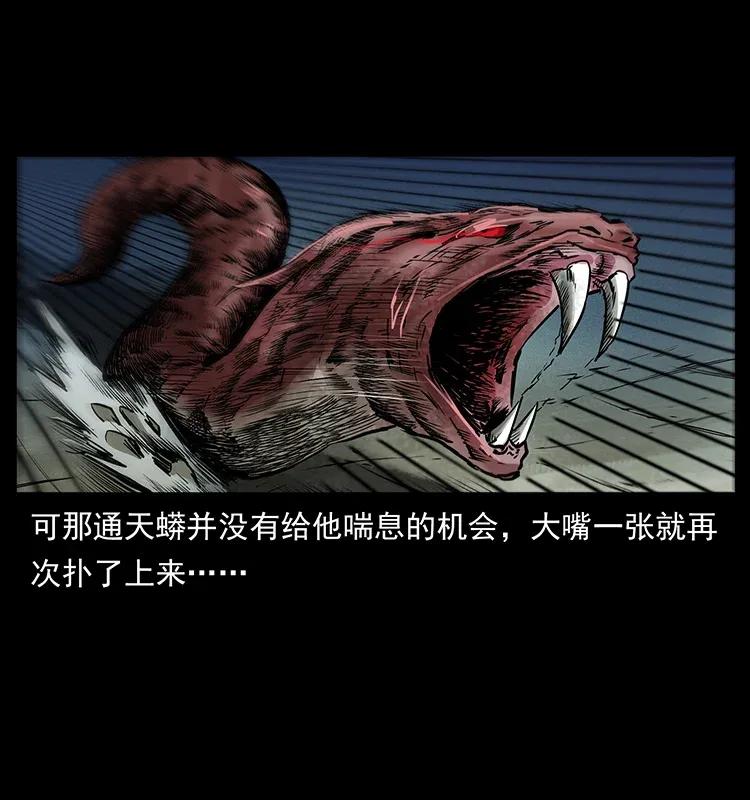288 强者归队！45