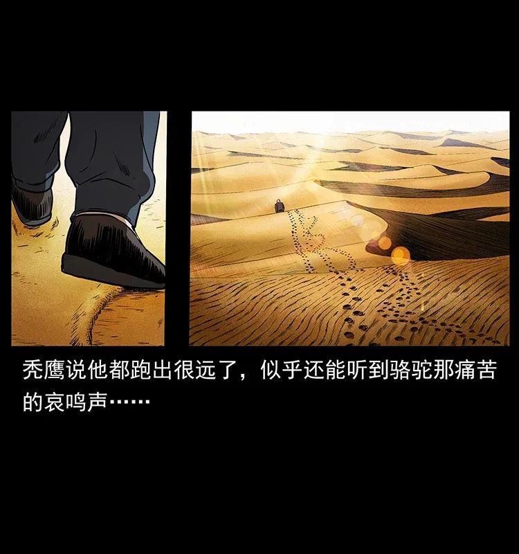 317 大漠凶兽26