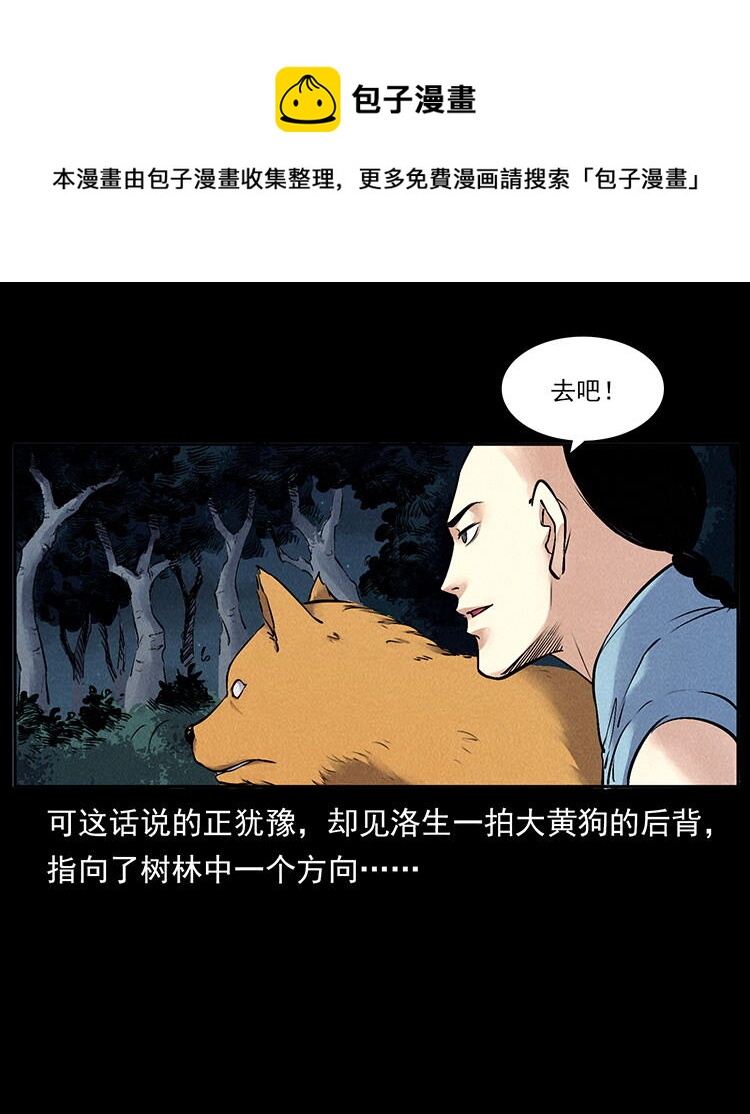 外传 洛生传3 剿匪17