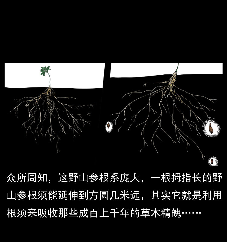 027 刘瞎子憋宝13