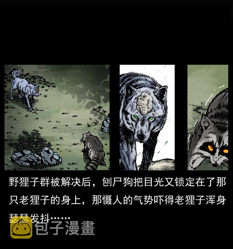 037 百雀丹（下）19