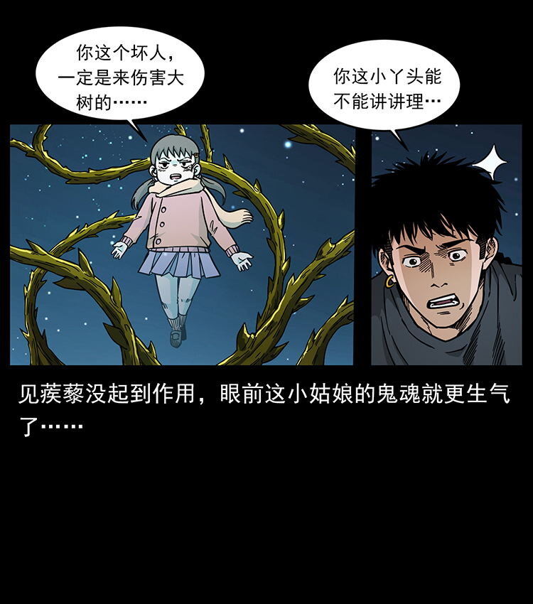 481 树57