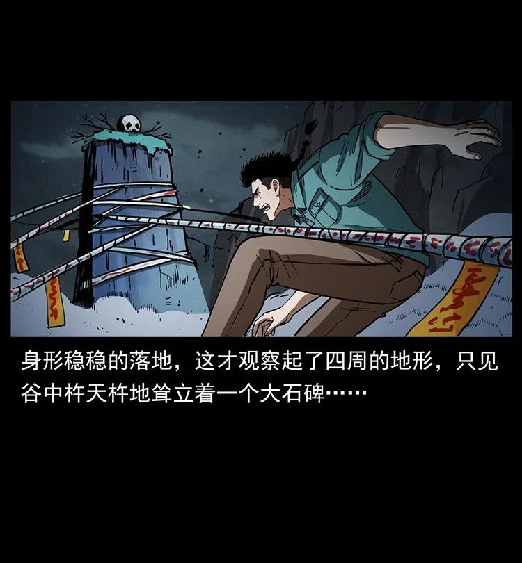 370 乌翅凤凰25