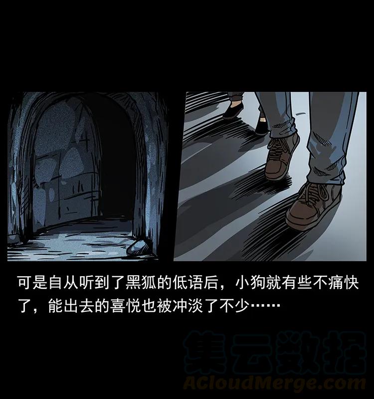 206 不断成长的陈小狗48