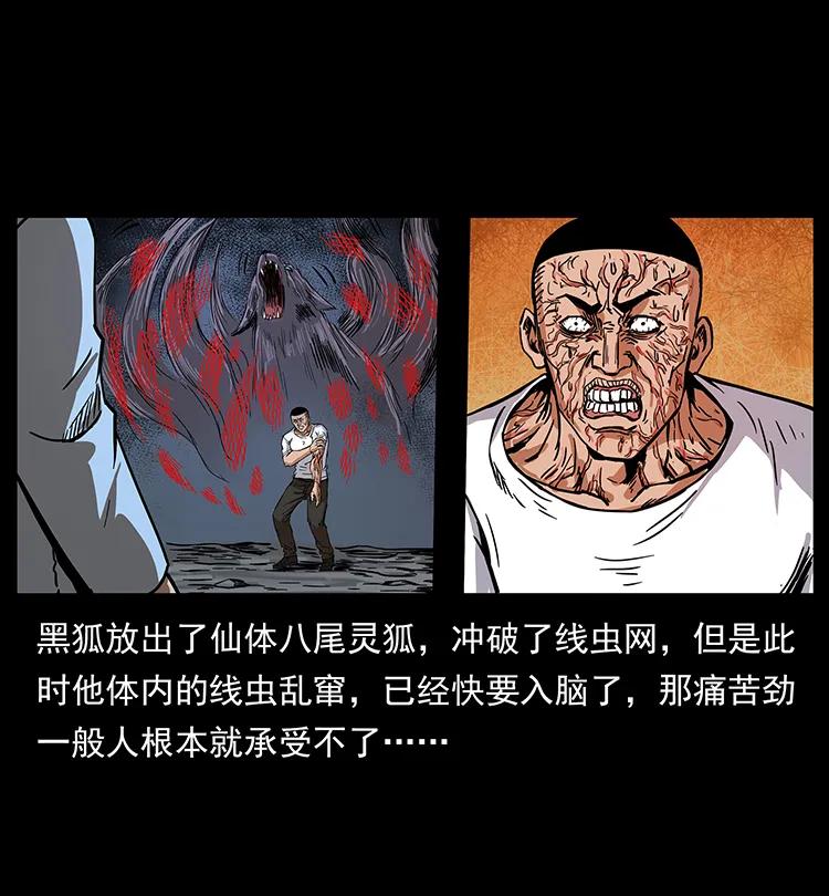 199 黑狐不好惹33