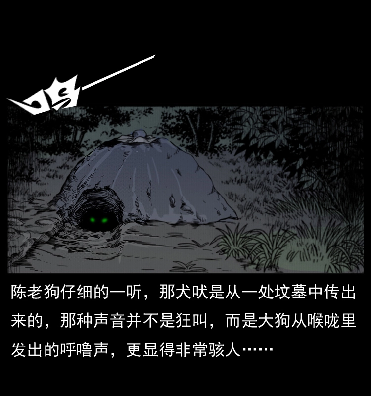 005 刨尸狗46