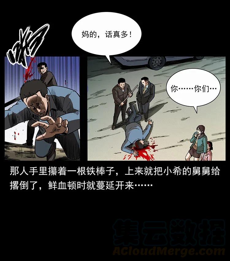 311 一窝生几个？56