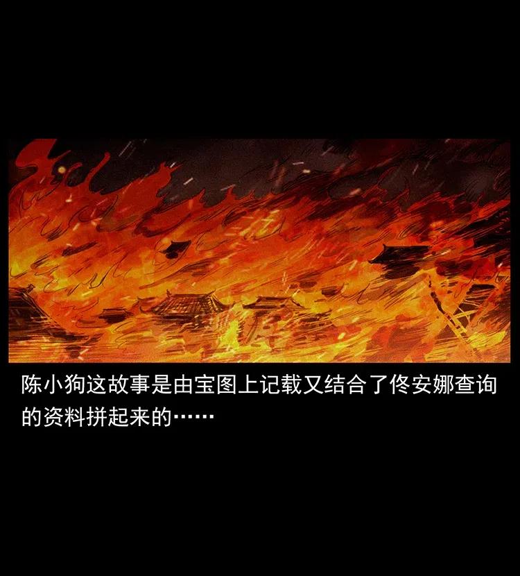 318 沙漠秃鹰49