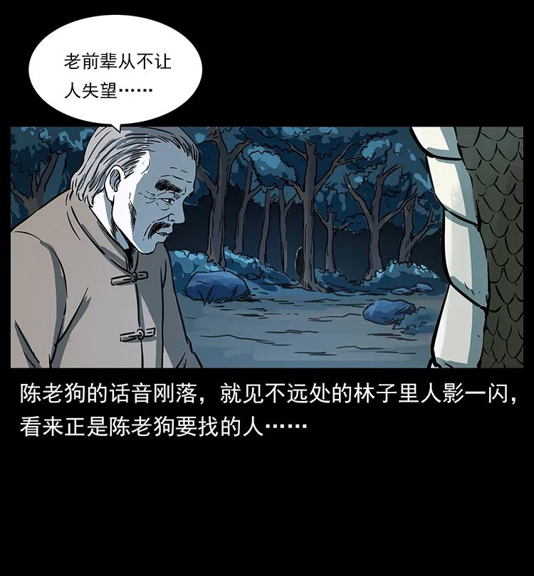 262 藏地神族50