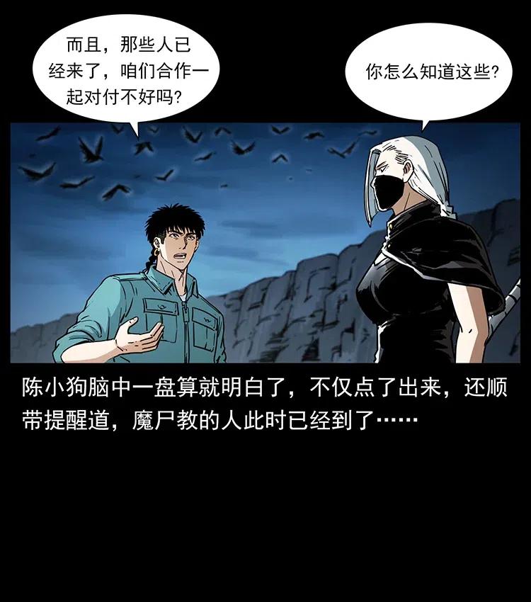 370 乌翅凤凰71