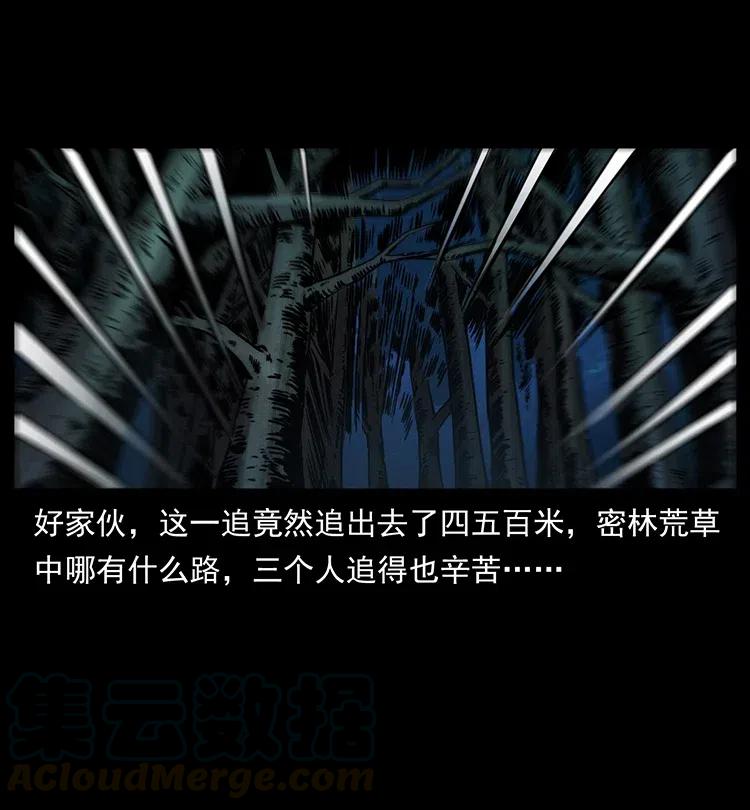 342 白毛僵尸8